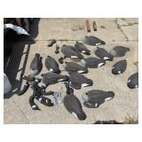 (15) Goose Shells with heads