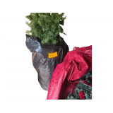 Assortment of Christmas trees, 4