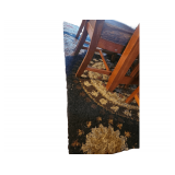Charlestown Shag 5 x 7 Carpet