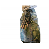 Compound Bow and Quiver