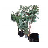 4 Various Sized Trees