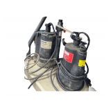 Everbolt and Utilitech 1/3 hp. Sump Pumps