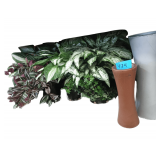 Various Plants & Vases
