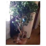 10 ft plant in a pot with handles 10 ft plant in a pot with handles