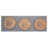 1893, 1901 & 1906 CH BU INDIAN CENTS