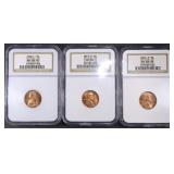 COLLECTORS LOT GRADED LINCOLN CENTS