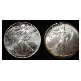 (2) 1993 AMERICAN SILVER EAGLES