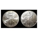 2004,05 AMERICAN SILVER EAGLES