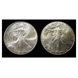2002,03 AMERICAN SILVER EAGLES