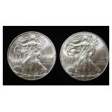 (2) 2013 AMERICAN SILVER EAGLES