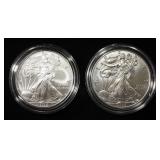 2010 & 2013 AMERICAN SILVER EAGLES