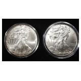 2012 & 2013 AMERICAN SILVER EAGLES