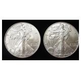 (2) 2006 AMERICAN SILVER EAGLES