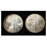 2004 & 2005 AMERICAN SILVER EAGLES
