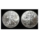 (2) 2019 AMERICAN SILVER EAGLES