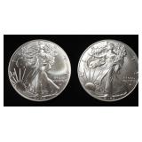 (2) 2025 AMERICAN SILVER EAGELS