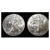 2018 & 2019 AMERICAN SILVER EAGLES
