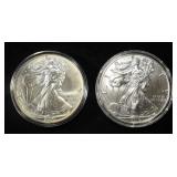 2019 & 2021 AMERICAN SILVER EAGLES