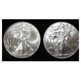 2018 & 2019 AMERICAN SILVER EAGLES