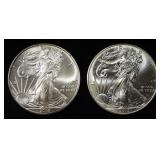 2010 & 2015 AMERICAN SILVER EAGLES
