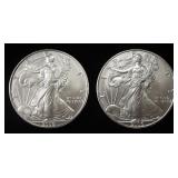 (2) 2006 AMERICAN SILVER EAGLES
