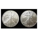 (2) 2006 AMERICAN SILVER EAGLES