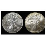 2004 & 2020 AMERICAN SILVER EAGLES