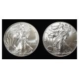 2018 & 2019 AMERICAN SILVER EAGLES