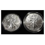 (2) 2019 AMERICAN SILVER EAGLES