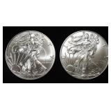 2018 & 2019 AMERICAN SILVER EAGLES