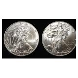 (2) 2019 AMERICAN SILVER EAGLE