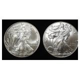 2018 & 2019 AMERICAN SILVER EAGLES