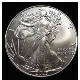 2025 AMERICAN SILVER EAGLE