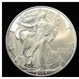 2004 AMERICAN SILVER EAGLE