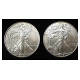 (2) 2006 AMERICAN SILVER EAGLES
