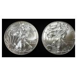2018 & 2019 AMERICAN SILVER EAGLES