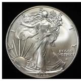 2022 AMERICAN SILVER EAGLE
