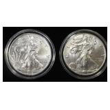 2018 & 2019 AMERICAN SILVER EAGLES