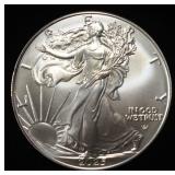 2025 AMERICAN SILVER EAGLE