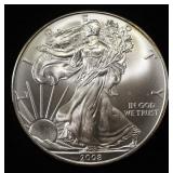 2008 AMERICAN SILVER EAGLE