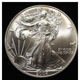 2004 AMERICAN SILVER EAGLE