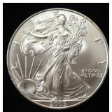 2005 AMERICAN SILVER EAGLE