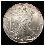 2007-W  AMERICAN SILVER EAGLE