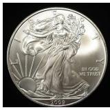 2009 AMERICAN SILVER EAGLE
