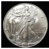 2005 AMERICAN SILVER EAGLE