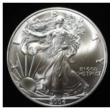 2004 AMERICAN SILVER EAGLE
