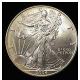 2004 AMERICAN SILVER EAGLE