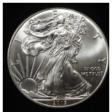 2013 AMERICAN SILVER EAGLE