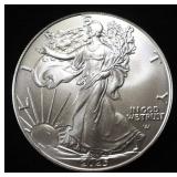2025  AMERICAN SILVER EAGLE