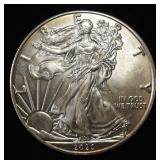 2020 AMERICAN SILVER EAGLE
